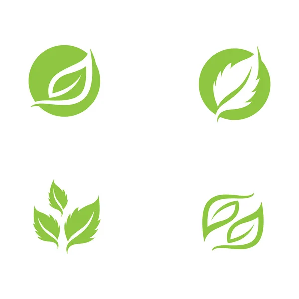 Logos Vert Feuille Arbre Écologie Élément Nature Vecteur — Image vectorielle