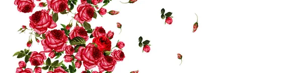 Modello Continuo Senza Soluzione Continuità Rosa Rossa Infinita Motivo Stampa — Foto Stock