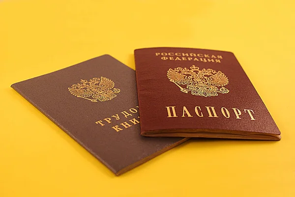 Passeport Document Travail Expérience Travail Sur Fond Coloré — Photo