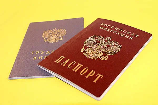 Pasaporte Documento Trabajo Experiencia Laboral Fondo Color — Foto de Stock