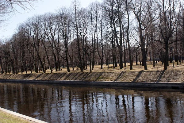 Park Spiegeln Sich Die Bäume Fluss — Stockfoto