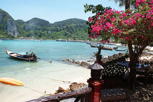 Paradiso Isola Della Thailandia Albero Fiorito Oceano Montagne — Foto Stock