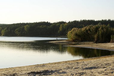 Lake forest, kumlu plaja ortasında.