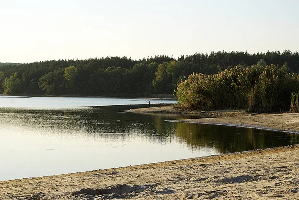 Lac Milieu Forêt Plage Sable — Photo