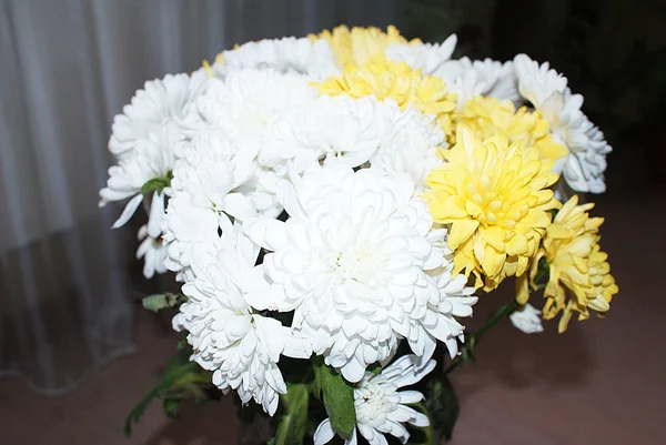 Chrysanthemen Ein Schöner Strauß Chrysanthemen — Stockfoto