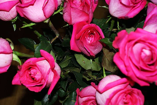 Roses Beautiful Bouquet Tree Roses Stock Photo Image By C Elena Shap84 Mail Ru 257170618