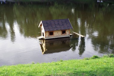 Gölde ördekler için bir ev var..