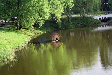 Gölde ördekler için bir ev var..