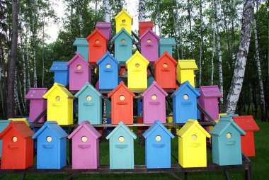 Ormandaki kuşlar için çok renkli evler