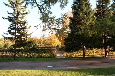 Sonbahar, düşmüş yaprakları ile sonbahar parkı