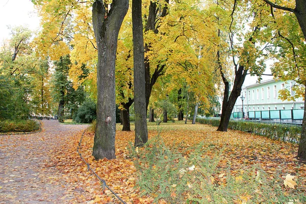 Autunno Parco Autunnale Con Foglie Cadute — Foto Stock