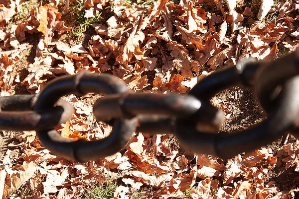 Düşmüş Yaprakları Ile Bir Sonbahar Parkı Zincirleri Kilitleri — Stok fotoğraf