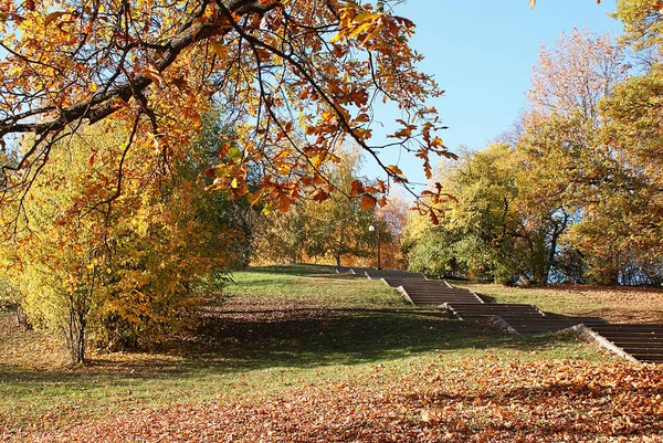 Automne Parc Automne Avec Feuilles Tombées — Photo