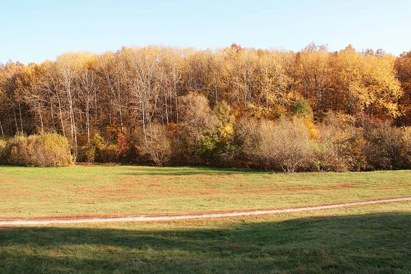 落ち葉のある秋の公園 — ストック写真