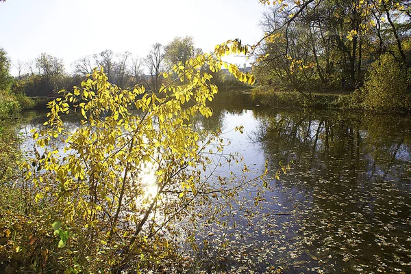 Automne Parc Avec Lac Reflétant Les Arbres — Photo