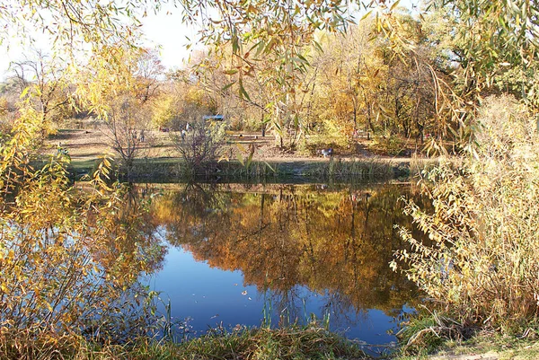 Höst Park Med Sjö Reflekterande Träd — Stockfoto