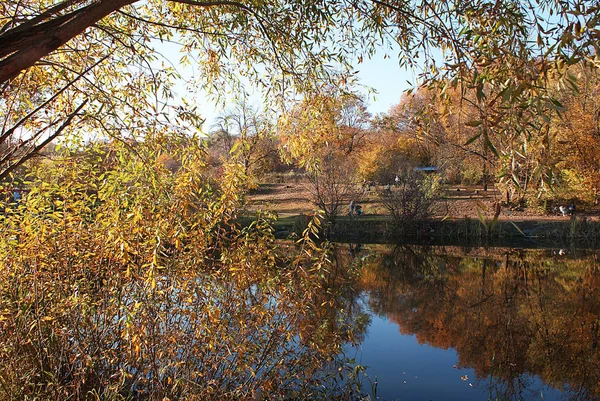 Outono Parque Com Lago Refletindo Árvores — Fotografia de Stock