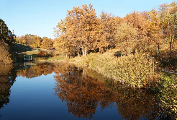 Ősz Park Tükrözi Fák — Stock Fotó