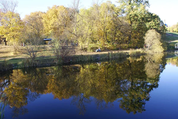 Höst Park Med Sjö Reflekterande Träd — Stockfoto