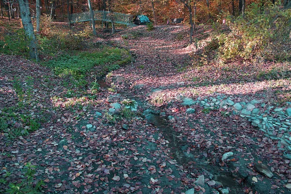 Podzim Podzimní Park Spadlým Listím — Stock fotografie