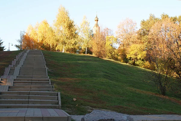 Herbst Herbst Park Mit Abgefallenen Blättern — Stockfoto