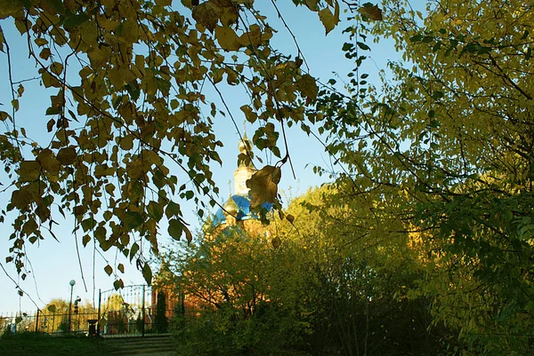 秋天的公园与落叶 — 图库照片