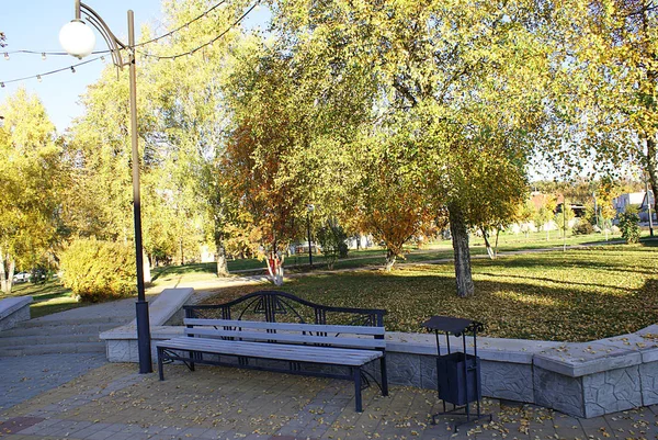 Herbst Herbst Park Mit Abgefallenen Blättern — Stockfoto