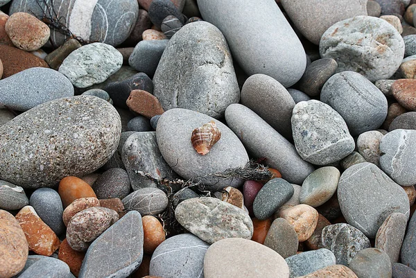 Pedras Junto Mar Concha Seixos Praia Costa Marítima — Fotografia de Stock