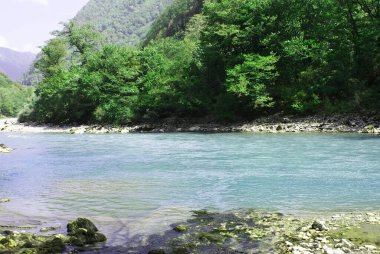 Dağdaki temiz nehir, güzel manzara, doğa..