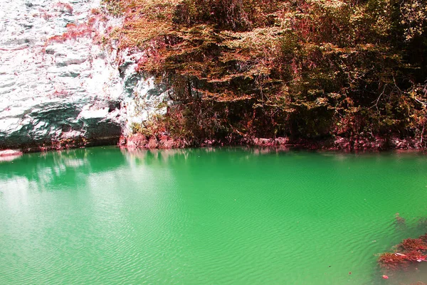 Hermosa Vista Panorámica Del Lago Las Montañas Naturaleza Abjasia — Foto de Stock