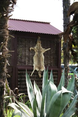Bir kurt derisi kabin, şehir dışında bir ev, manzara.