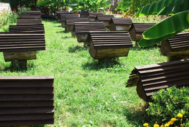 Sokakta bir kütükte yabani arılar için arı kovanı, tatlım..