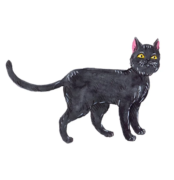 Aquarell Schwarze Katze Luigi — Stockfoto