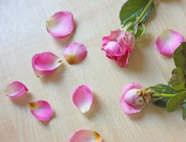 İki küçük pembe gül ve yaprakları üzerinde ahşap masa