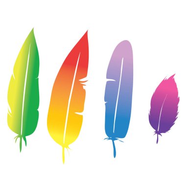 Dört renkli tüy vektör