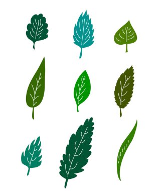 farklı ağaçları yeşil vektör yaprak