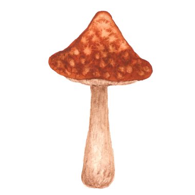 Beyaz adam suluboya doku ile mantar