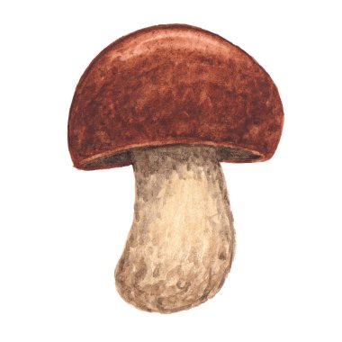 Beyaz adam suluboya doku ile mantar