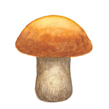 Beyaz adam suluboya doku ile mantar