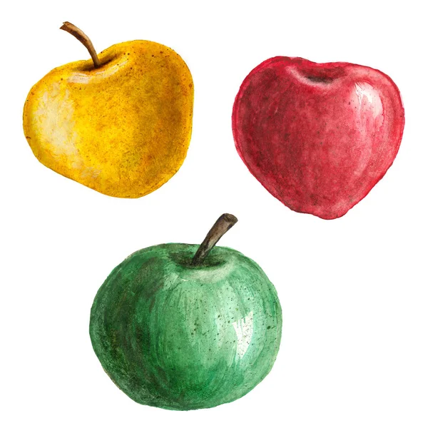 Sammlung Von Aquarell Texturierten Äpfeln Auf Weißem Hintergrund — Stockfoto