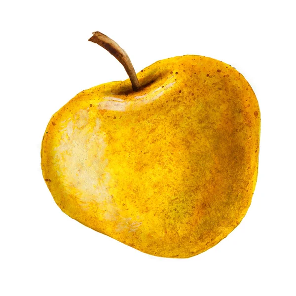 Yellow Watercolor Textured Apple White Background — Stock Photo, Image