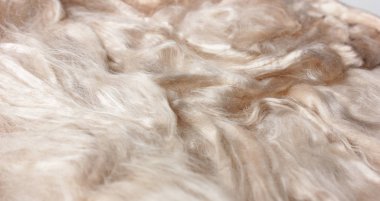 Arka plan doku ışık yün ile bukleler