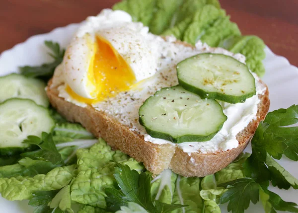 Хліб з яйцем, огірком, вершковим сиром, зеленню та салатом — стокове фото