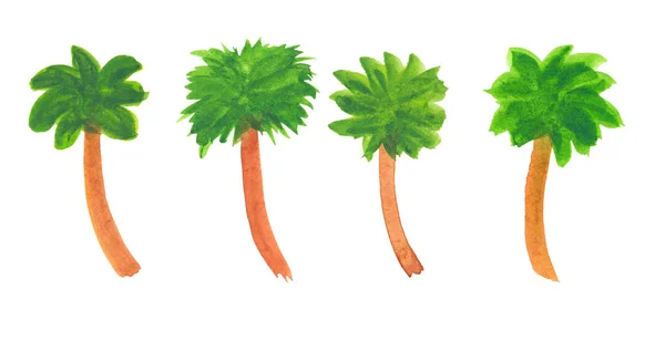 棕榈树的水彩插图 — 图库照片#