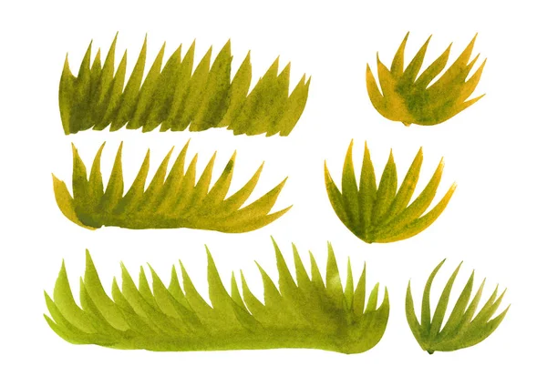 Aquarela ilustração conjunto de grama verde — Fotografia de Stock
