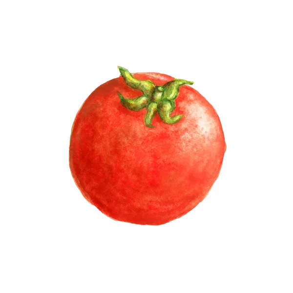 Акварель помидоров — стоковое фото