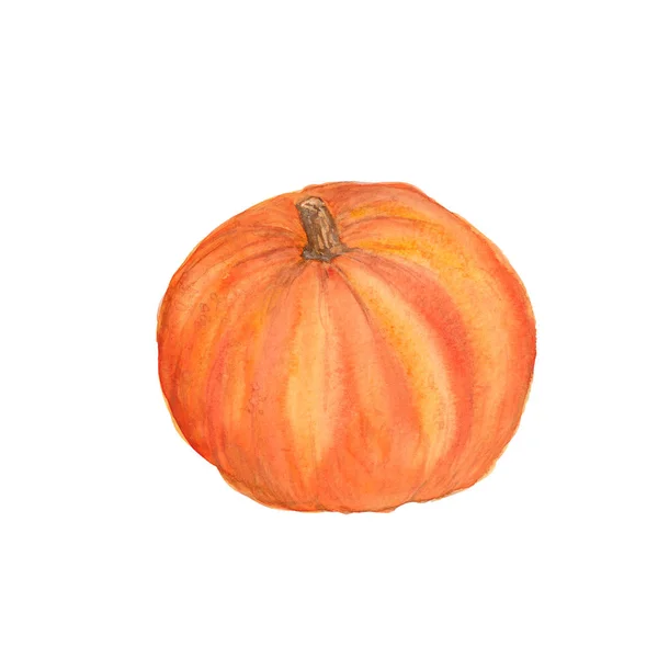 Aquarell-Illustration eines orangen Kürbisses — Stockfoto