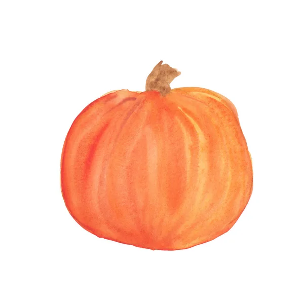 Illustrazione ad acquerello di una zucca arancione — Foto Stock