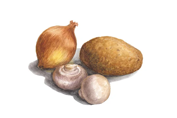 Aquarell-Illustration von Stillleben mit Gemüse - Zwiebeln, Kartoffeln, Pilze — Stockfoto