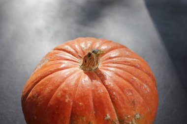 Turuncu kabak ve güneş ışığı siyah